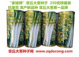 章丘大蔥種 山東大蔥種{dy}品牌 家祿三號 抗重茬抗霜抗倒大蔥種子