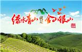 安吉白茶 源自綠水青山 無污染 微信：15088376008