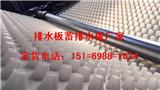 幅寬2米3米|鄂爾多斯1公分車庫頂板排水板15169881824