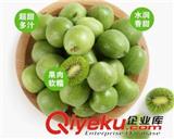 丹東軟棗種植需要注意的問題