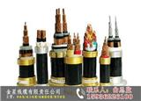 鄭州工業電力電纜