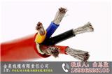 禹州硅橡膠電纜