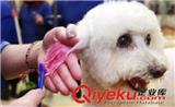 沈陽醫療培訓機構的培訓內容
