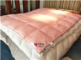 張家口市懷來縣,訂做羽絨被（鵝絨被）,推薦小永遠(yuǎn)羽絨被廠家,1分鐘獲得報(bào)價(jià)