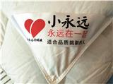 邵陽市城步苗族自治縣,訂做羽絨被（鵝絨被）,推薦小永遠(yuǎn)羽絨被廠家,當(dāng)天可以快遞發(fā)貨