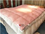 平頂山衛東婚房羽絨被多少錢，386個朋友買小永遠羽絨被廠商30年不漏絨。