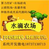 水滴農(nóng)場(chǎng)模式系統(tǒng)開(kāi)發(fā)算力挖礦農(nóng)場(chǎng)游戲原生APP開(kāi)發(fā)