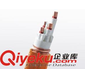 沈陽礦物絕緣電纜的使用領(lǐng)域
