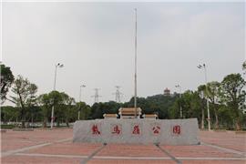 中山市紫馬嶺公園高桿燈照明