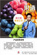 小型造酒設備廠家{sx}上市企業明星樊少皇代言的唐三鏡品牌