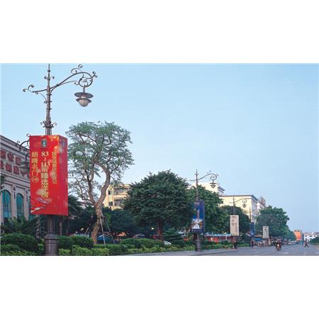 道路灯,PFD-32801 H:5-8m