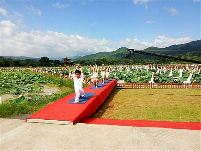 广州南沙区珠江街道瑜伽考证【OMYOGA】