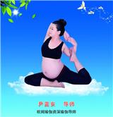 廣州番禺區瑜伽教練學校【OM瑜伽】