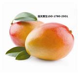 泰國菠蘿蜜進(jìn)口代理報關(guān)