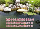 株洲景觀假山-株洲卡爾建材， 小菜園藝