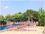 湘潭庭院園林景觀公司-株洲卡爾建材， 小菜園藝