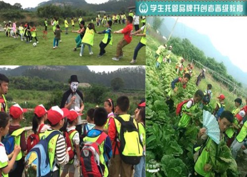 幼儿托管加盟-午托班怎么管理-北京晋级爱之家国际文化传播有限