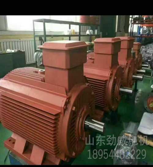 YE2-355M1-8极132KW{gx}三相异步电动机