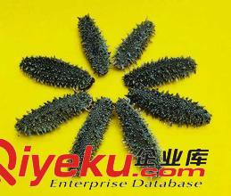 北京冬蟲夏草回收門店13611114534宣武區(qū)回收冬蟲夏草