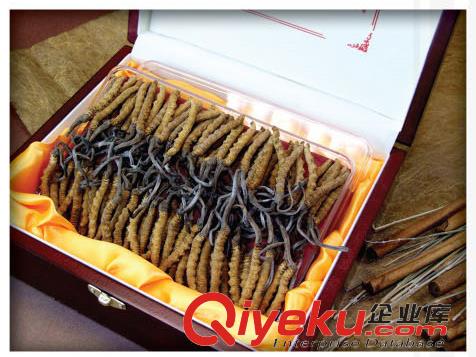 昌平區上門收蟲草13611114534昌平區回收冬蟲夏草禮品