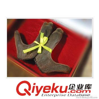 豐臺區回收冬蟲夏草13611114534豐臺哪里回收蟲草