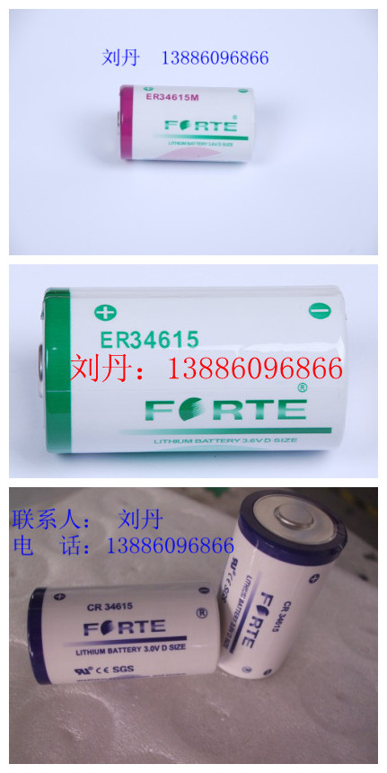 供應高能量鋰電池ER34615 ER34615M CR34615