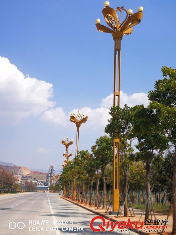 昆明致安供應(yīng)路燈云南交通設(shè)施