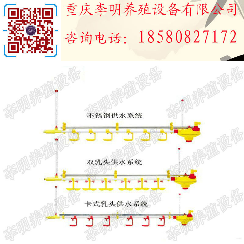 水線 養(yǎng)殖設(shè)備 養(yǎng)雞水線