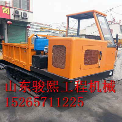 廠家直銷小型履帶運(yùn)輸車 農(nóng)用運(yùn)輸車 家用履帶車原始圖片3