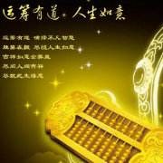 四川公司注銷/金妙算審計驗資報告/成都金妙算財務咨詢有限公司