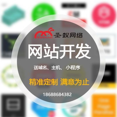 东莞网站开发推广/品牌视觉广告设计公司/东莞市圣蚁网络有限公