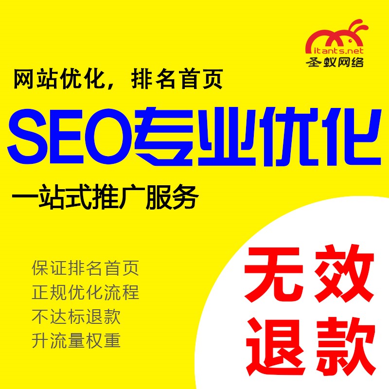 網站網絡營銷推廣優化 手機微信微商城托管推廣 東莞市圣蟻網絡