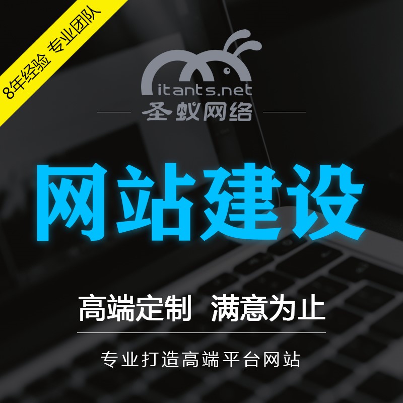 網站網絡營銷推廣優化 手機微信微商城托管推廣 東莞市圣蟻網絡