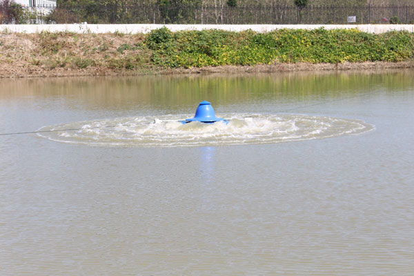 三相單相魚塘蝦塘涌浪式推浪式增氧機(jī)