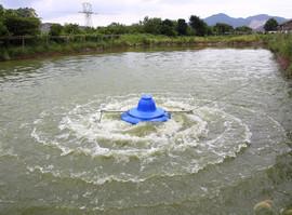 廠家直銷涌浪式1.5kw高溶氧魚塘增氧機 