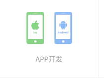 軟件開發(fā)