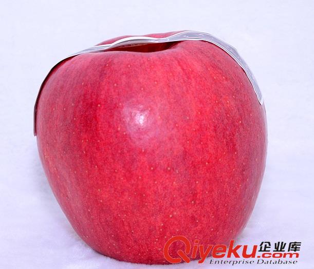 世界一禮品果