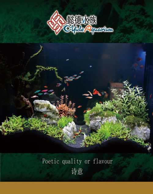 水族箱温控设备-玻璃鱼缸定制-重庆懿德环境艺术工程有限公司