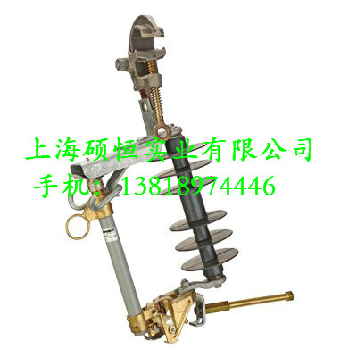 PSC6010347 臨時負載切斷器（美國CHANCE）