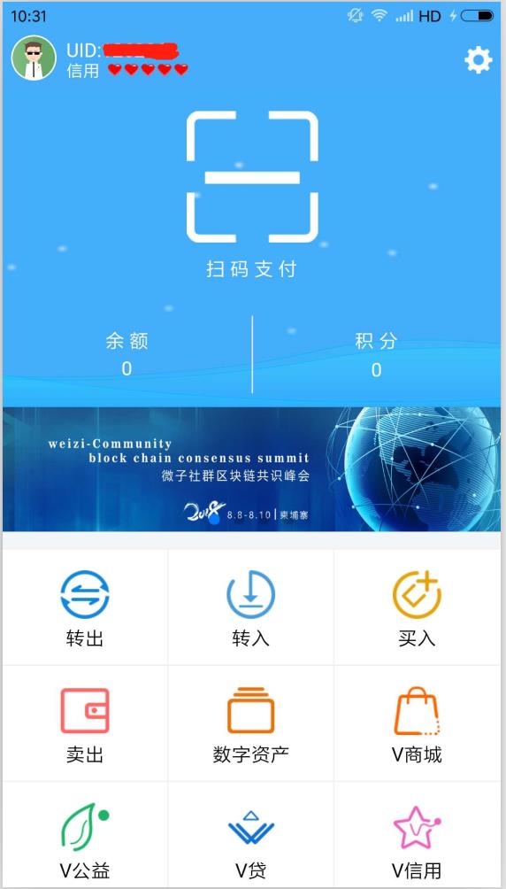 专业的Vpay