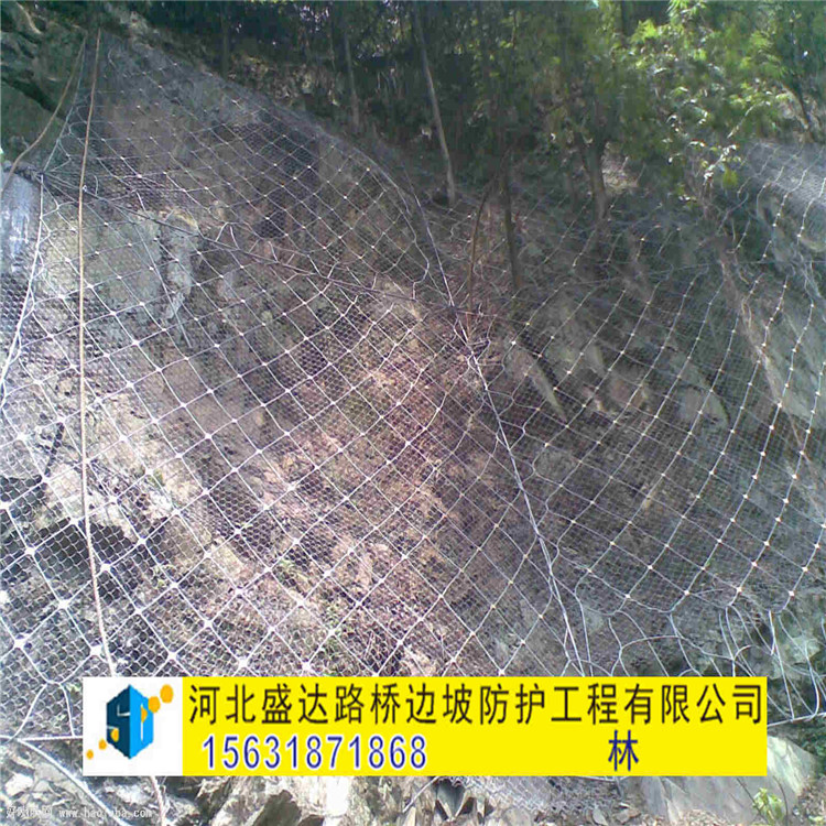 GNS2主動防護網(wǎng)銷售 山體防護網(wǎng) 落石防護網(wǎng)