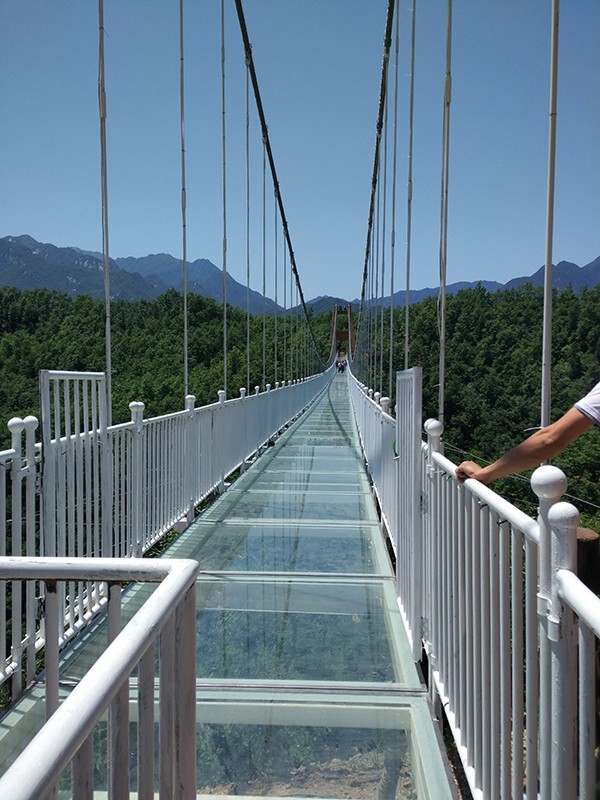 吊橋造價_滑索吊橋_景區玻璃吊橋廠家原始圖片3