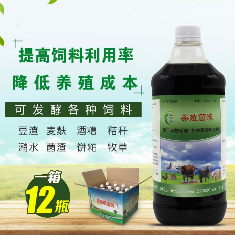 用豬糞養蛆怎么養？豬糞先發酵嗎？
