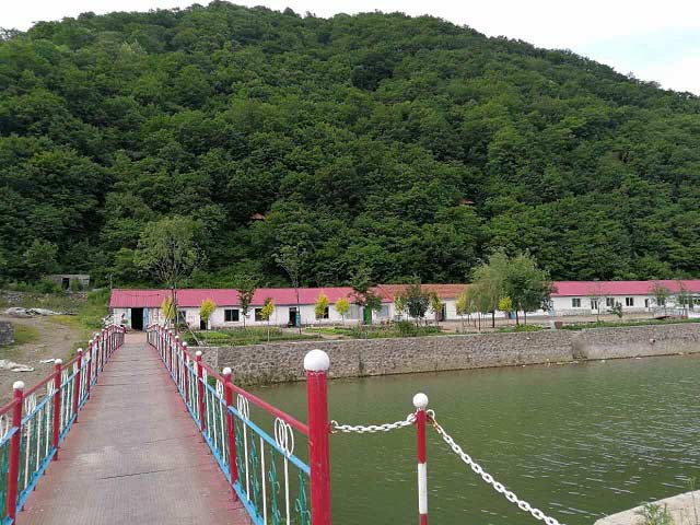 百馨鴕鳥+綏化鴕鳥養殖廠+綏化鴕鳥孵化廠+綏化鴕鳥產品銷售批發+綏化鴕鳥雛銷售批發13634457166