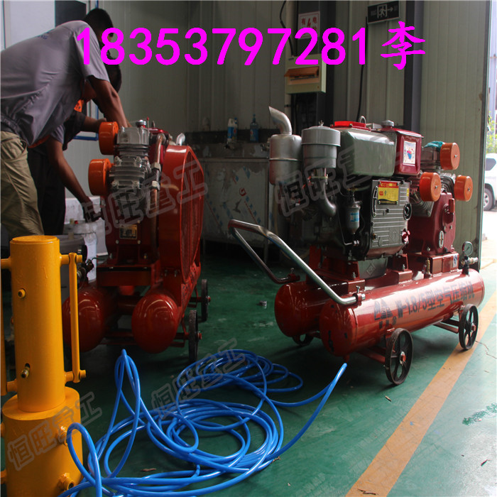 供應(yīng)恒旺HDZ-120防汛搶險(xiǎn)打樁機(jī)便攜式植樁機(jī)廠家原始圖片2