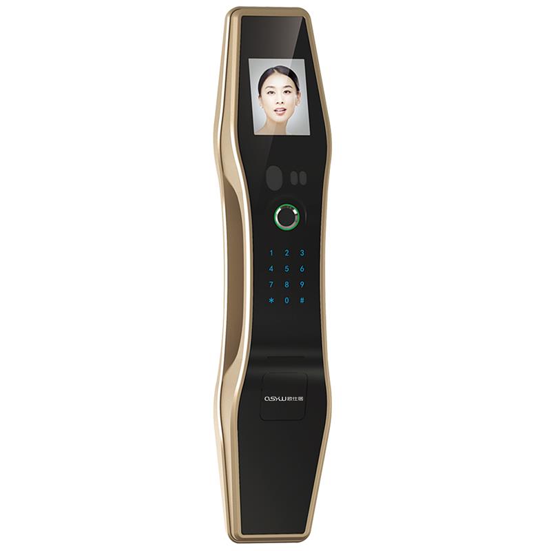 O-S520 香檳色