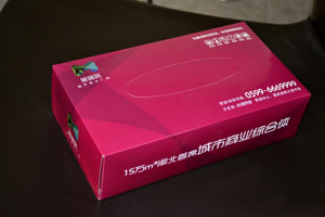臨汾襄汾印刷gd抽紙盒印刷超便宜/設計漂亮質量好