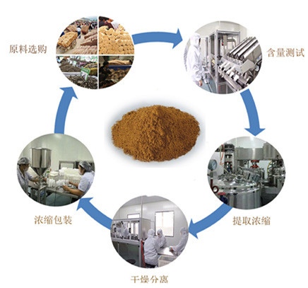 國圣 山楂提取物 山楂粉 保健原料 藥食同源 歡迎咨詢原始圖片2