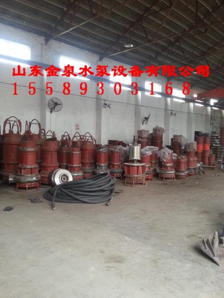 大型排沙泵原始圖片2