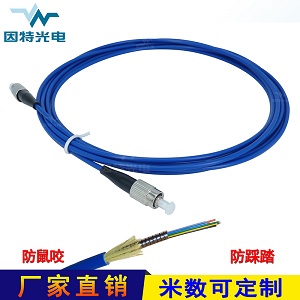 景升光纜FC-FC單模單芯防鼠咬鎧裝光纖跳線光纖連接器